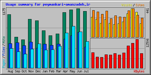 Usage summary for peymankari-amanzadeh.ir